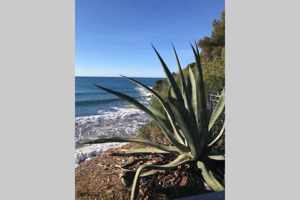 La Petite Pinede Studio Climatise Proche Plage Санари-сюр-Мер Экстерьер фото